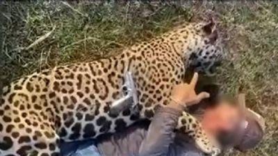 DECISÃO: STF nega pedido de pecuarista contra pagamento de R$ 150 mil após postar vídeo abraçado com onça-pintada morta em MT