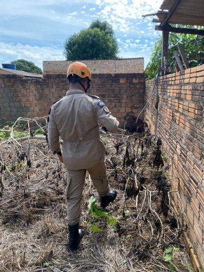 Capivara é capturada em quintal de residência em Porto Alegre do Norte