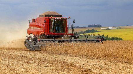 Colheita da soja atinge 5% da área; só 4 estados começaram