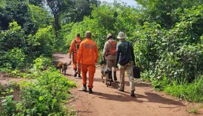 Cão farejador deixa bombeiros em alerta na busca por menino indígena desaparecido entre Santa Terezinha (MT) e Pium (TO)