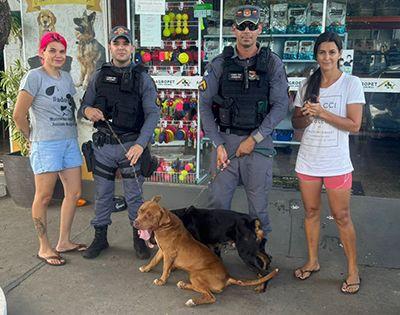 Polícia Militar resgata cachorros em situação de maus tratos em Água Boa