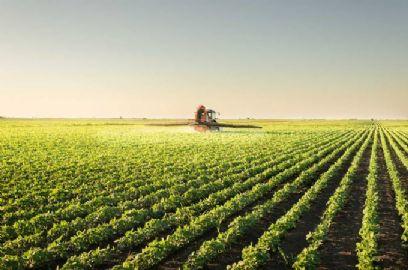 Veja as condições e a evolução de plantio da soja nos EUA