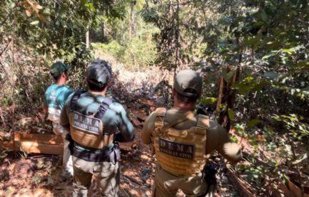 Derrubada de árvores em área de preservação em Serra Nova Dourada (MT) é flagrada pela Polícia Civil