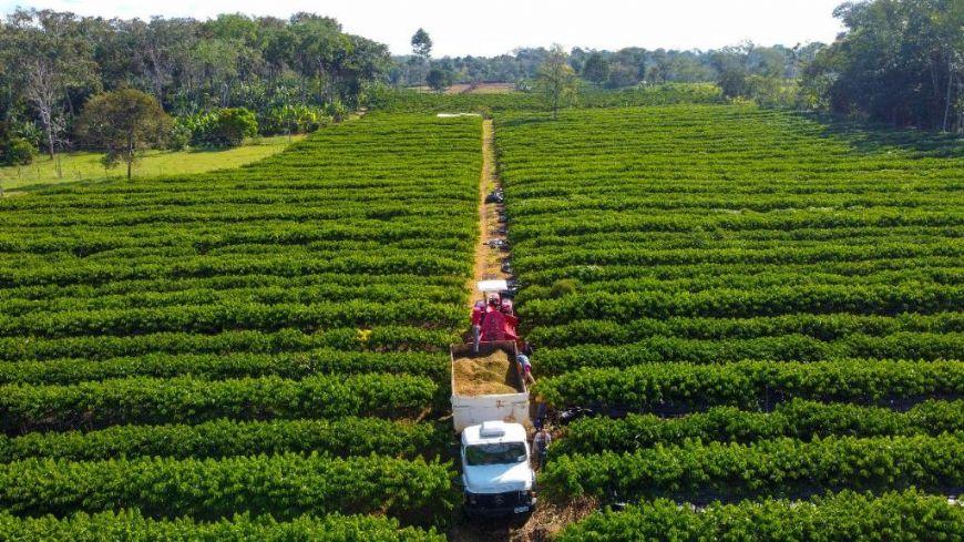 Governo de MT lança linha de crédito de até R$ 1,5 milhão para produtores familiares