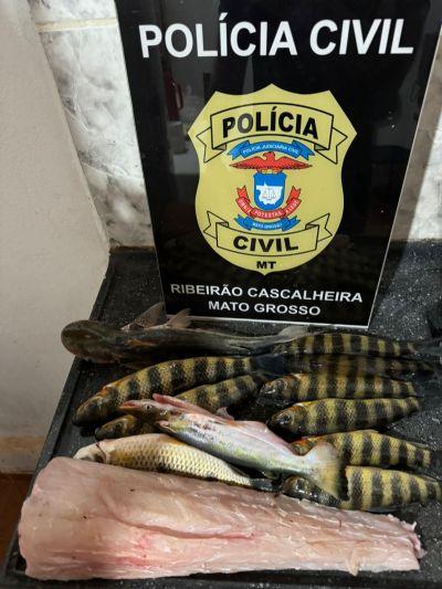 Polícia Civil prende homem que transportava carne de jacaré em Ribeirão Cascalheira