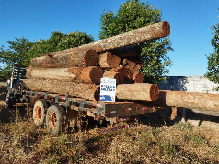 Seis pessoas são presas em flagrante por invasão e extração ilegal de madeira em MT