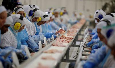 China e México retomam compras de carne de frango do Brasil, mas não do RS