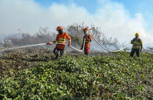 Corpo de Bombeiros combate incêndios em fazendas de Porto Alegre do Norte e Canabrava do Norte