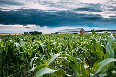 Setor agrícola é fundamental para mitigar mudanças climáticas, afirma cientista da Nasa