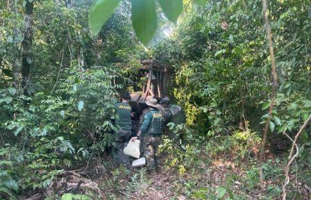 Ibama e Polícia Militar Ambiental fazem operação contra desmatamento ilegal no Xingu