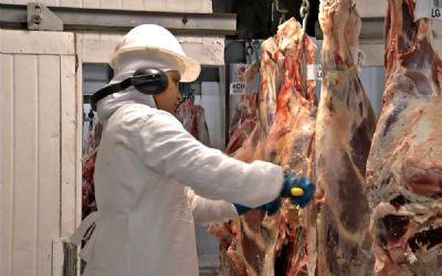 Valor médio de exportação de carne bovina dá salto de 42%