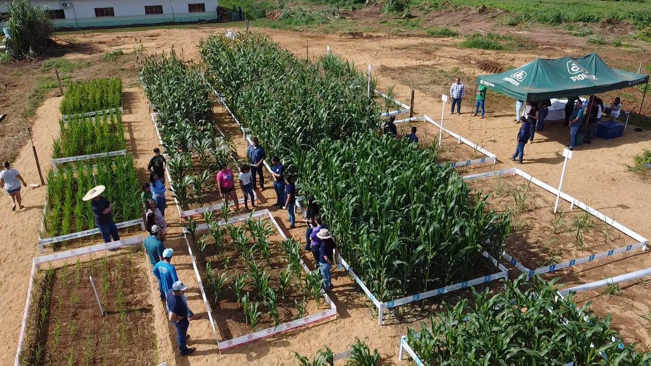 Alunos de Agronomia da Unemat extenção Querência realizam1º dia de Campo.