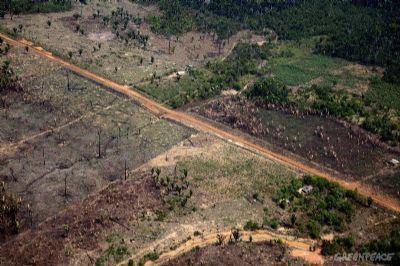 STF manda expulsar grileiros de fazenda de ex-senador em Santa Terezinha (MT)